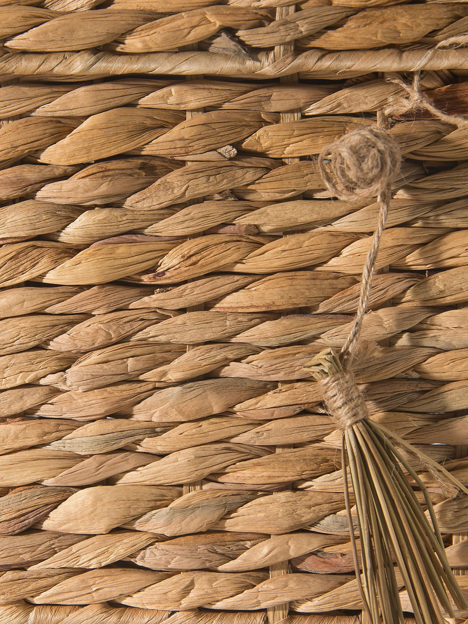 Box, Natur – Bild 4