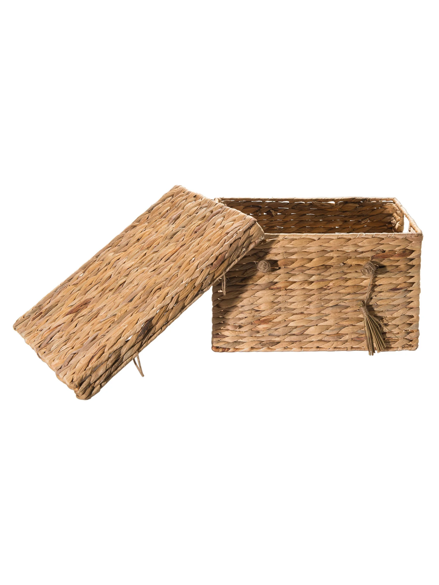 Box, Natur – Bild 2