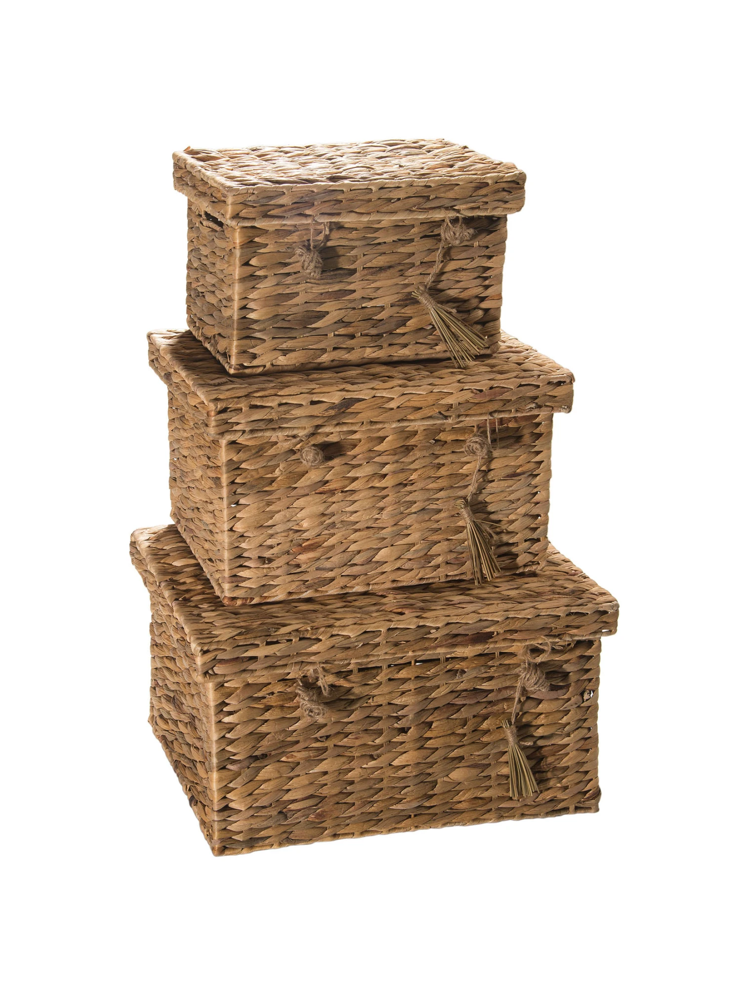 Box, Natur – Bild 5