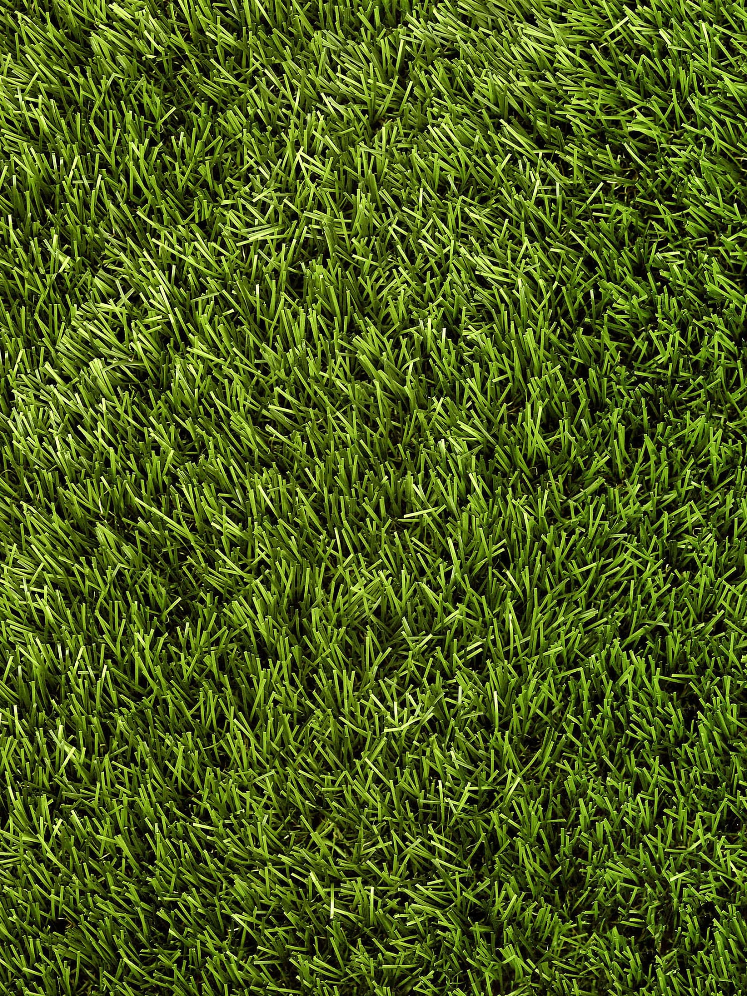 Rasen-Teppichboden, Green – Bild 3