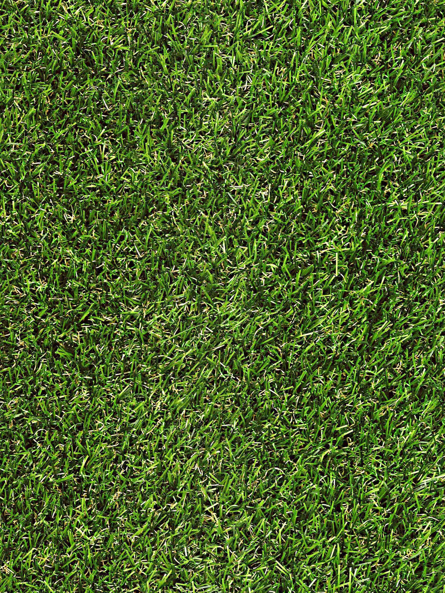 Rasen-Teppichboden, Grün – Bild 4