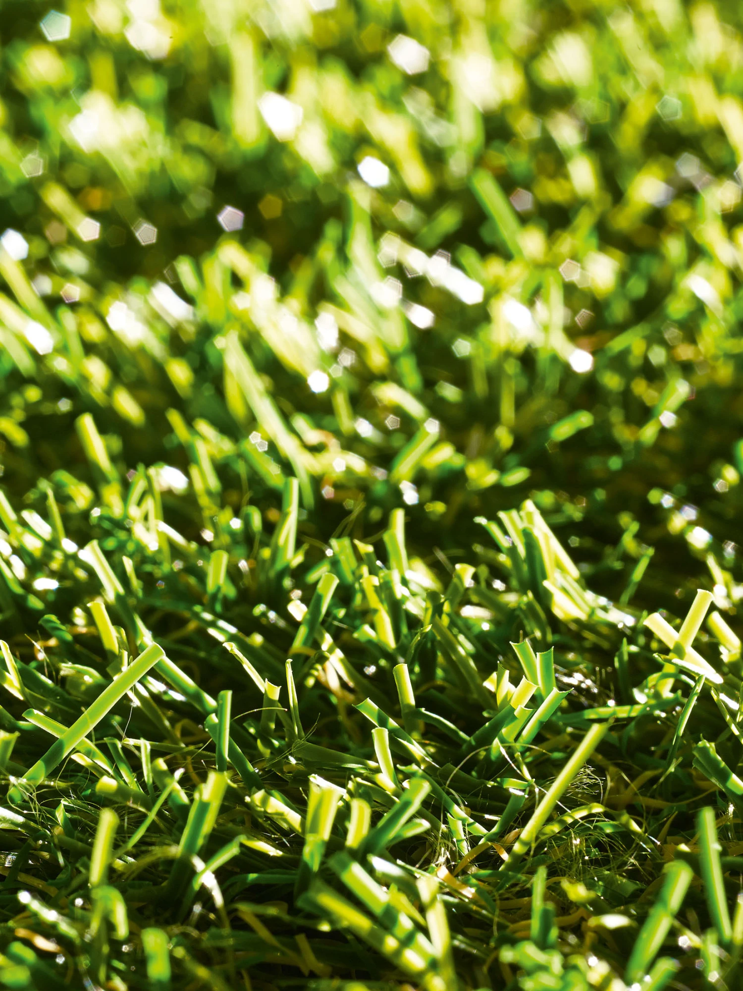 Rasen-Teppichboden, Grün – Bild 5