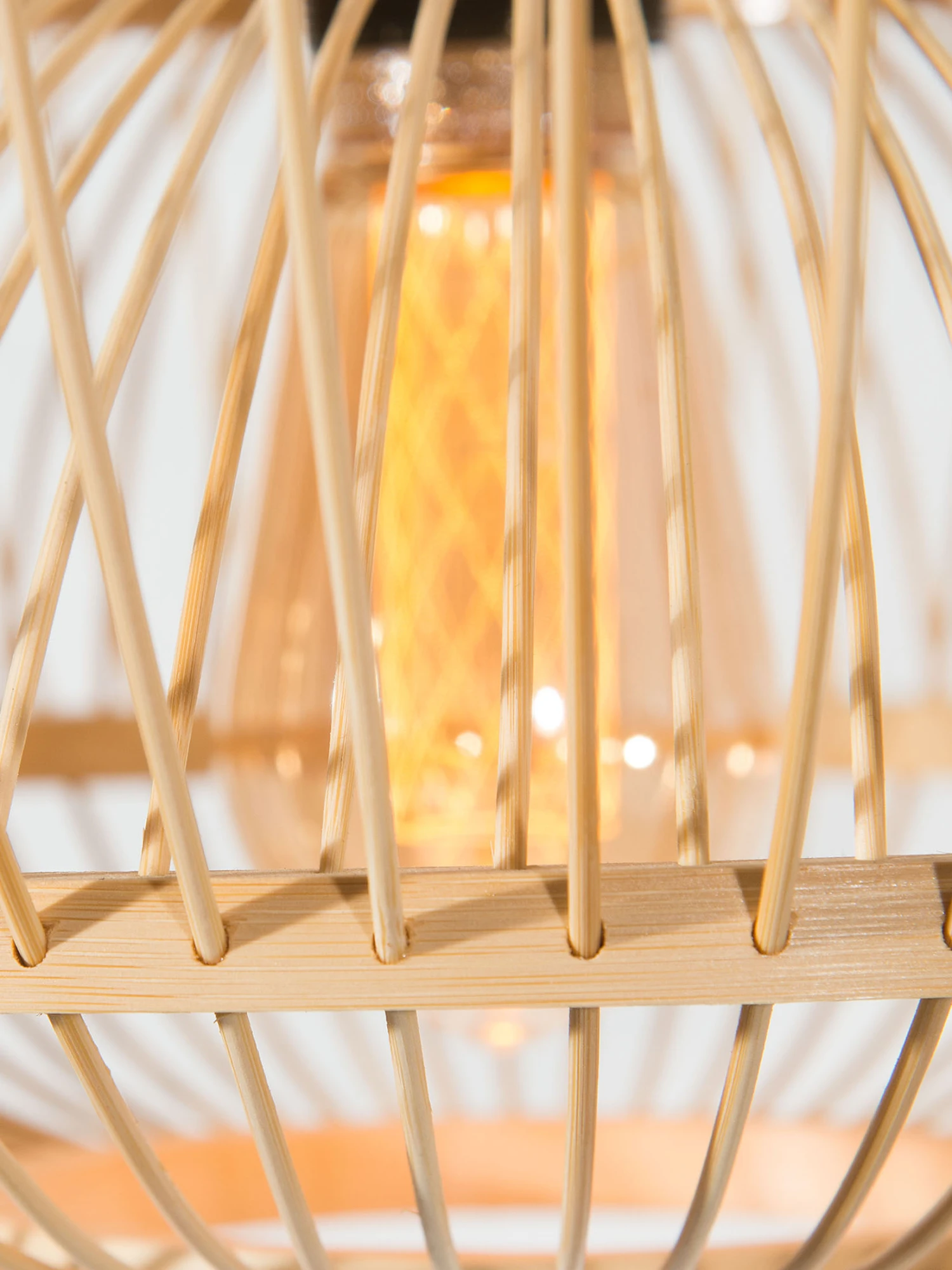 Hängeleuchte, Natur – Bild 6