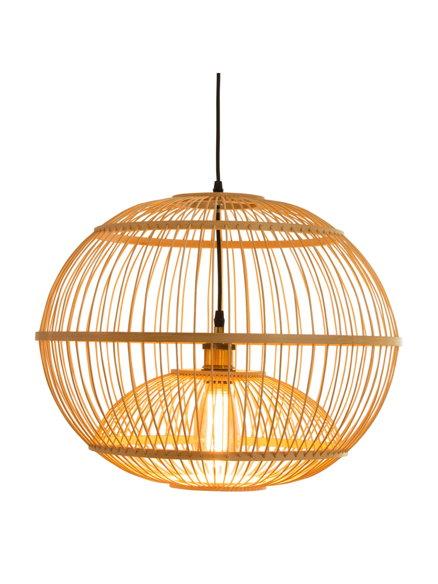 Hängeleuchte, Natur – Bild 3