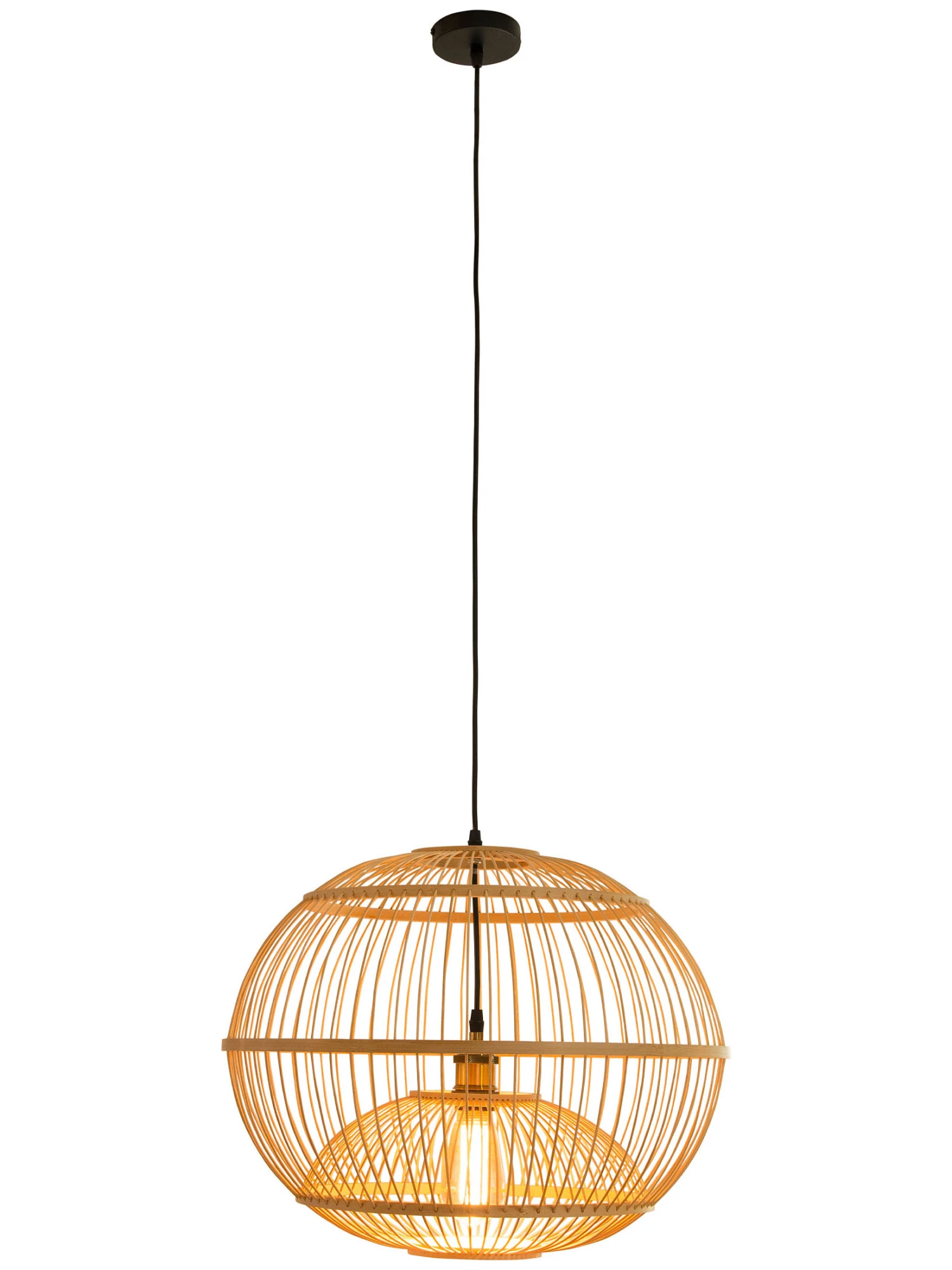 Hängeleuchte, Natur – Bild 4