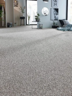 Schlingen-Teppichboden, Taupe 21