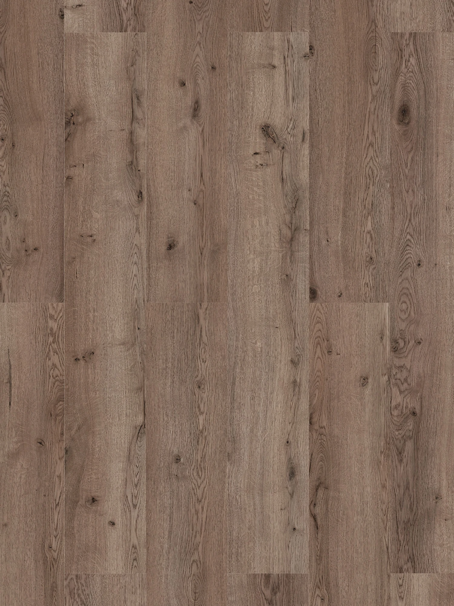 Klick-Laminat, Wildeiche 62259 – Bild 3