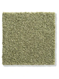 Velours-Teppichboden, Green