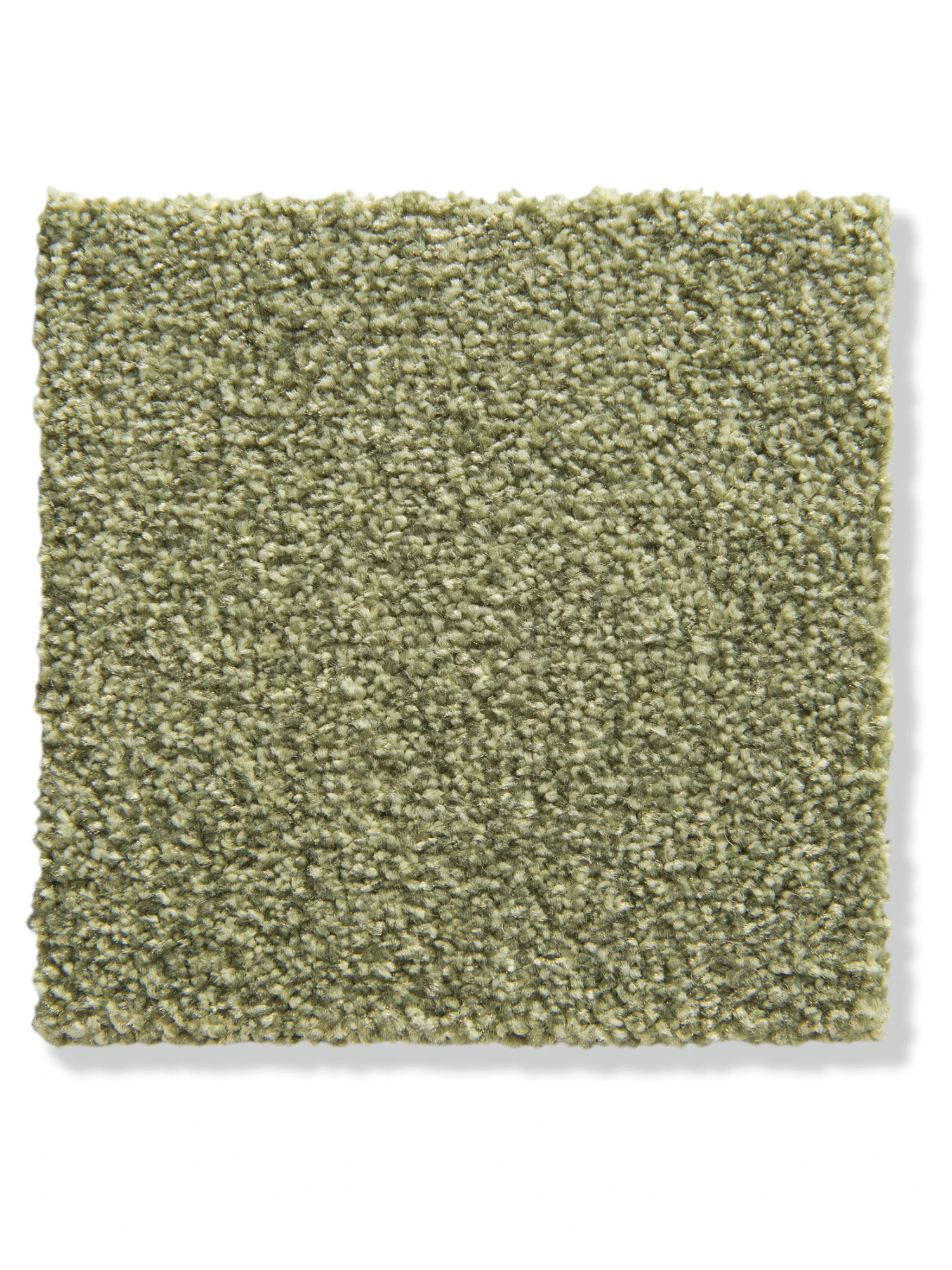 Velours-Teppichboden, Green