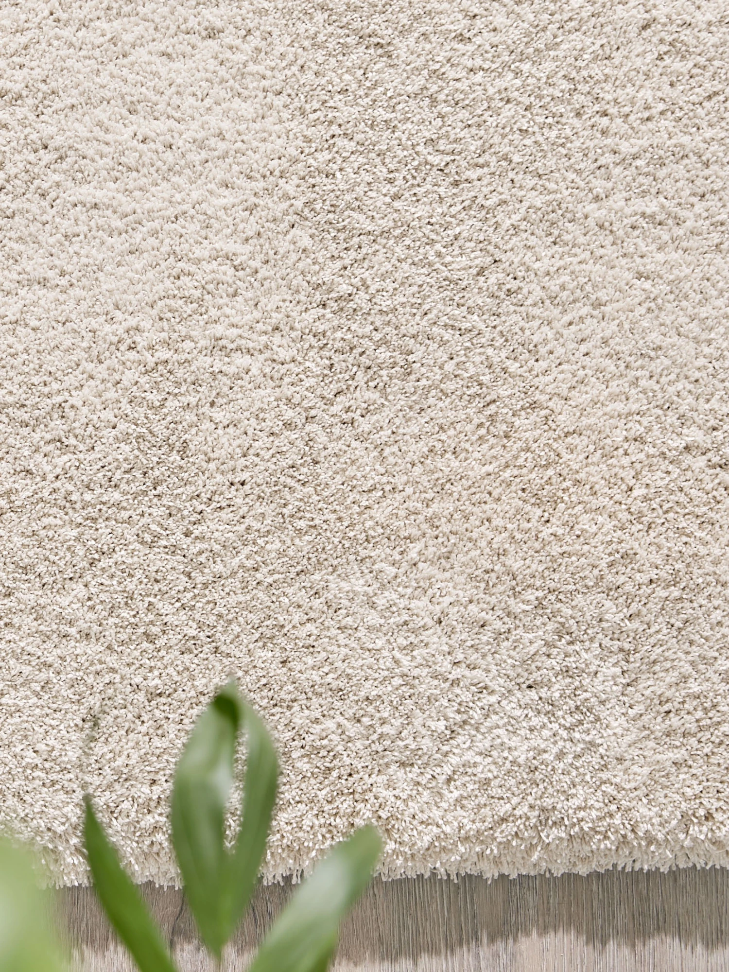 Hochflor-Teppich, Cream – Bild 2