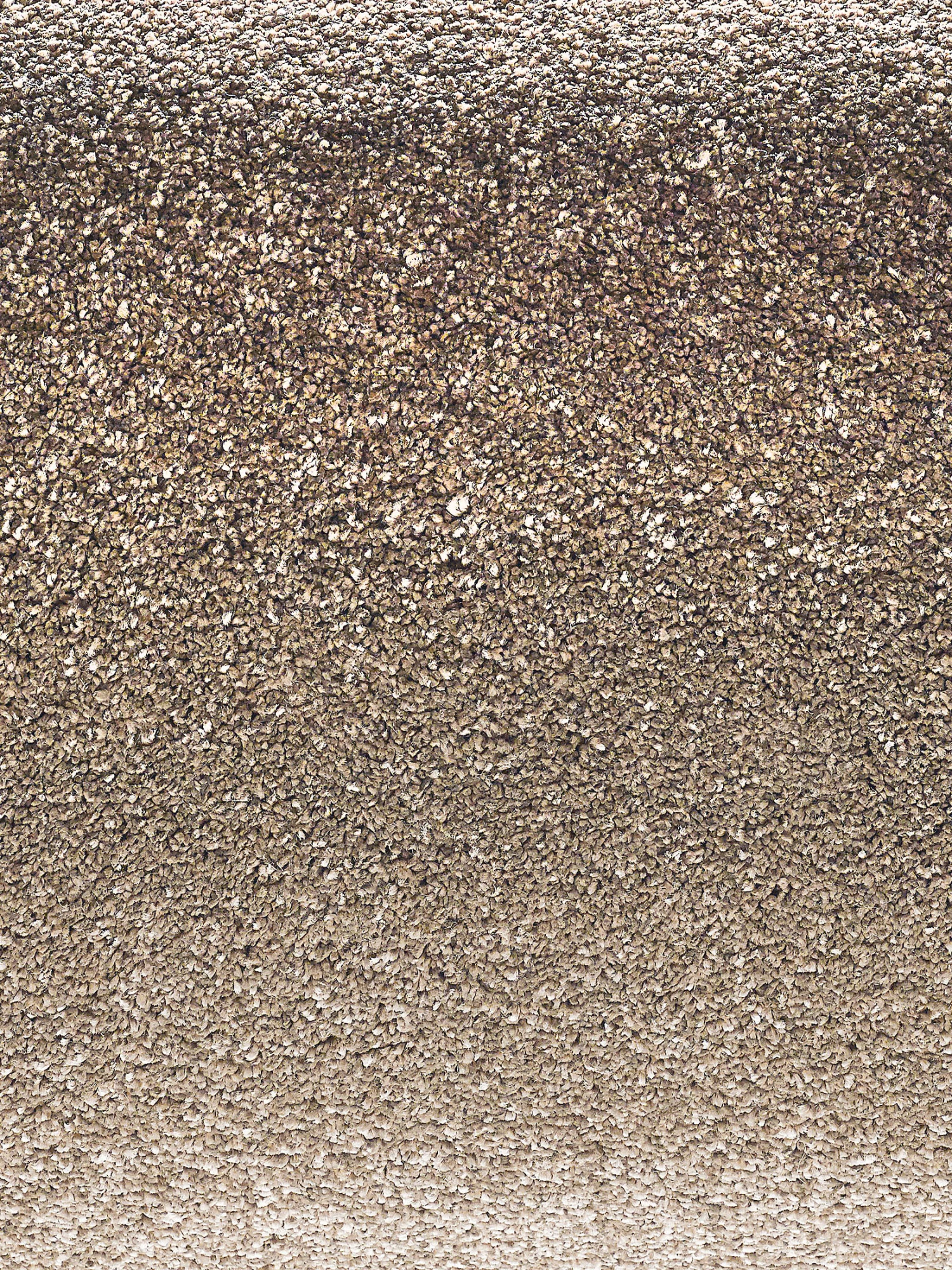 Hochflor-Teppich, Savanne – Bild 3