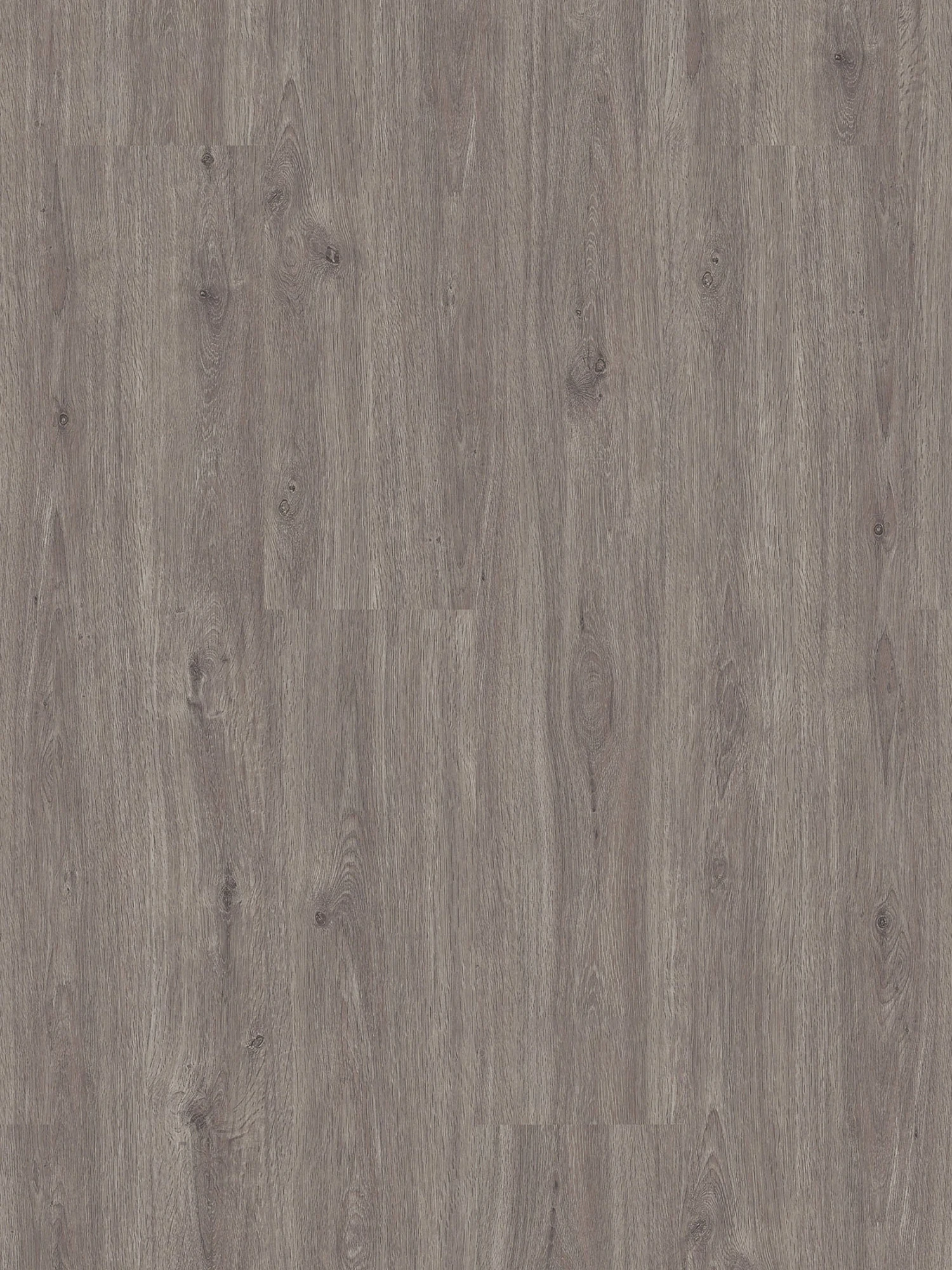 Vinylboden, Classic Oak – Bild 2